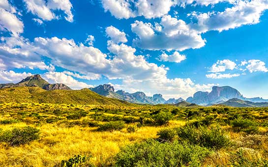 Big Bend National Park Travel Insurance